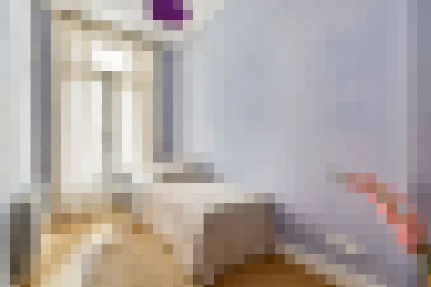 Van Breestraat 109 H Amsterdam thumbnail 18