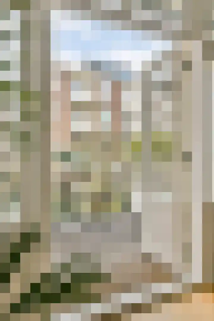 Van Breestraat 111 2 Amsterdam thumbnail 18