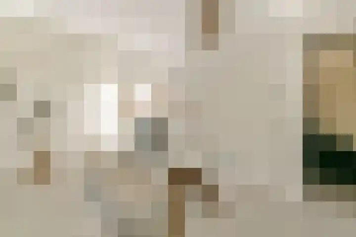 Van Breestraat 111 2 Amsterdam thumbnail 34