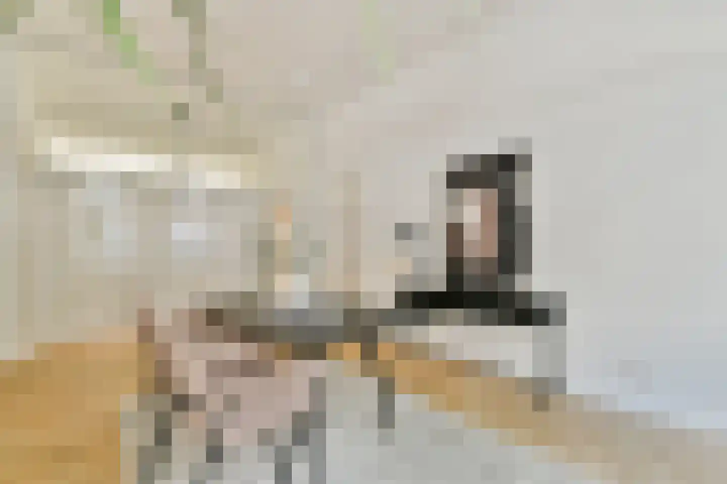 Van Breestraat 111 H Amsterdam thumbnail 13