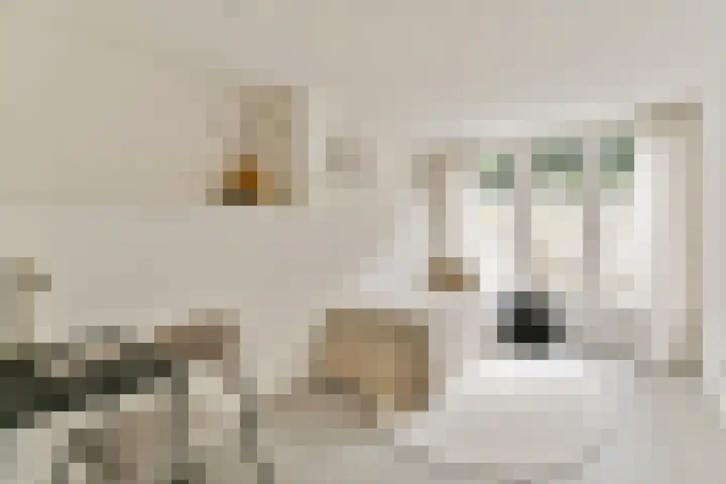 Van Breestraat 111 H Amsterdam thumbnail 39