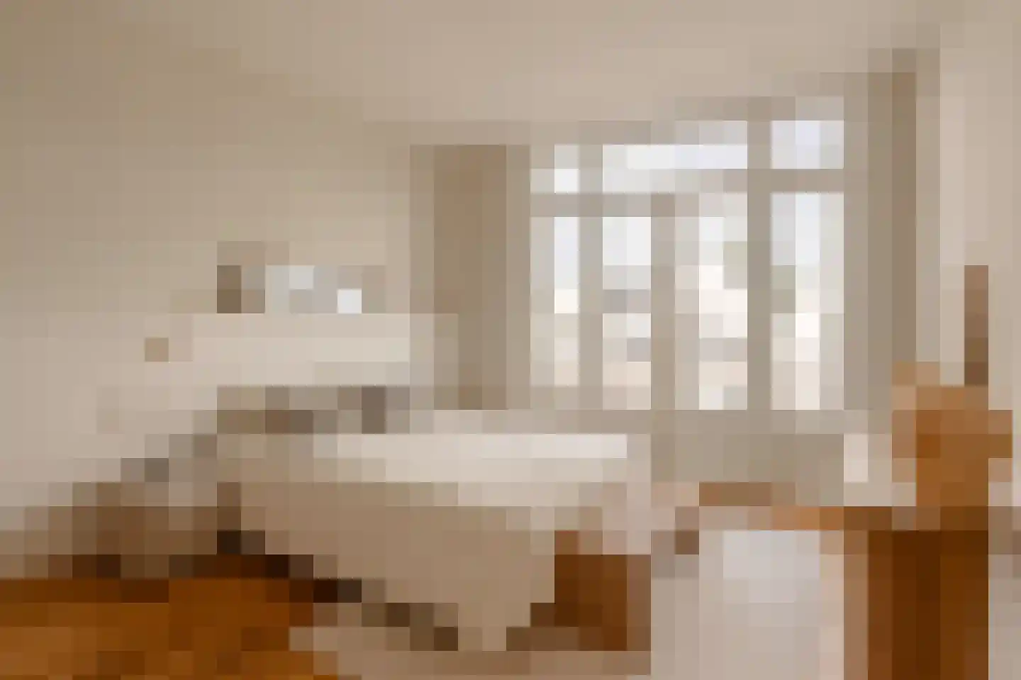 Van Breestraat 122 2 Amsterdam thumbnail 20