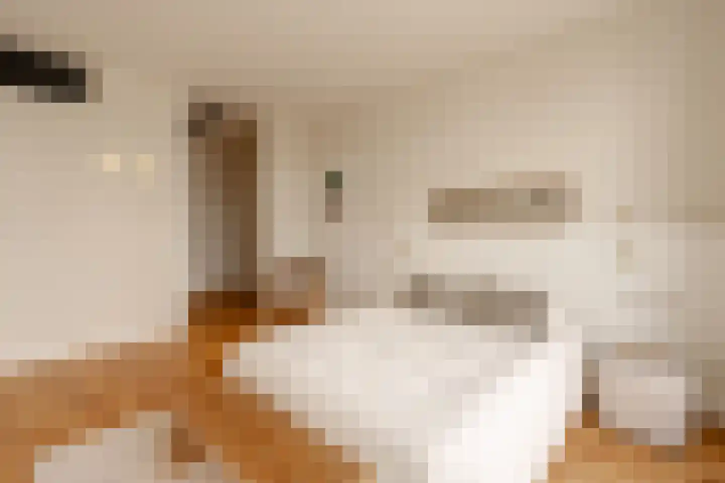 Van Breestraat 122 2 Amsterdam thumbnail 22