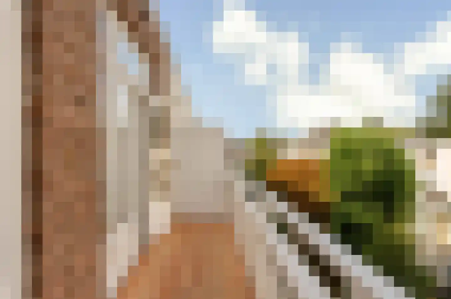 Van Breestraat 122 2 Amsterdam thumbnail 25