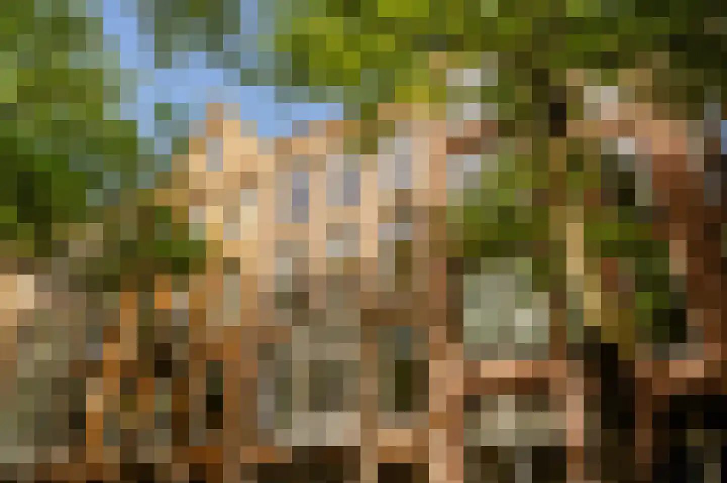 Van Breestraat 122 2 Amsterdam thumbnail 5