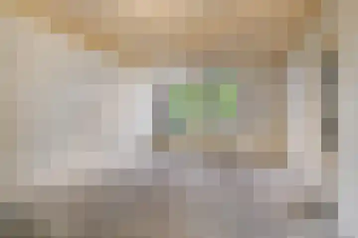 Van Breestraat 136 Tilburg thumbnail 11