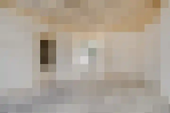 Van Breestraat 136 Tilburg thumbnail 13