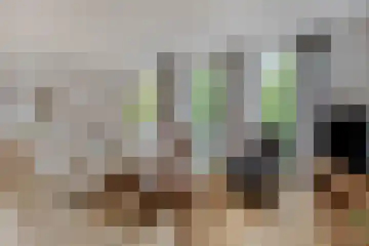 Van Breestraat 136 Tilburg thumbnail 23