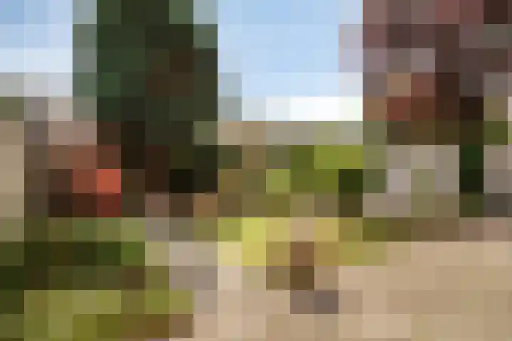 Van Breestraat 136 Tilburg thumbnail 37
