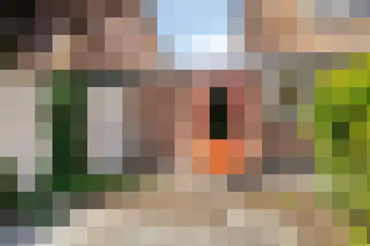 Van Breestraat 136 Tilburg thumbnail 43