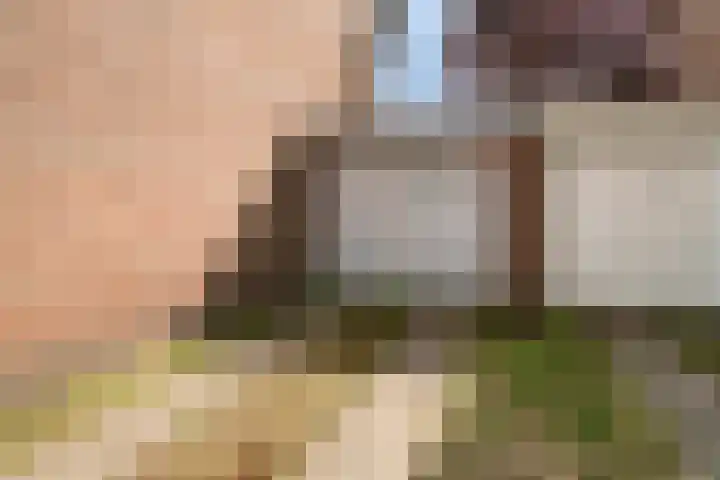 Van Breestraat 136 Tilburg thumbnail 45