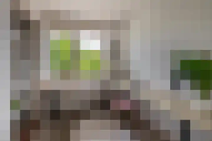 Van Breestraat 138 Tilburg thumbnail 18