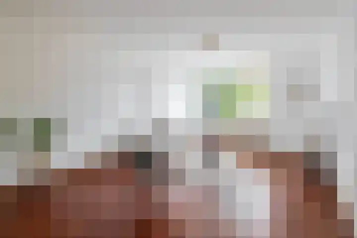 Van Breestraat 138 Tilburg thumbnail 4