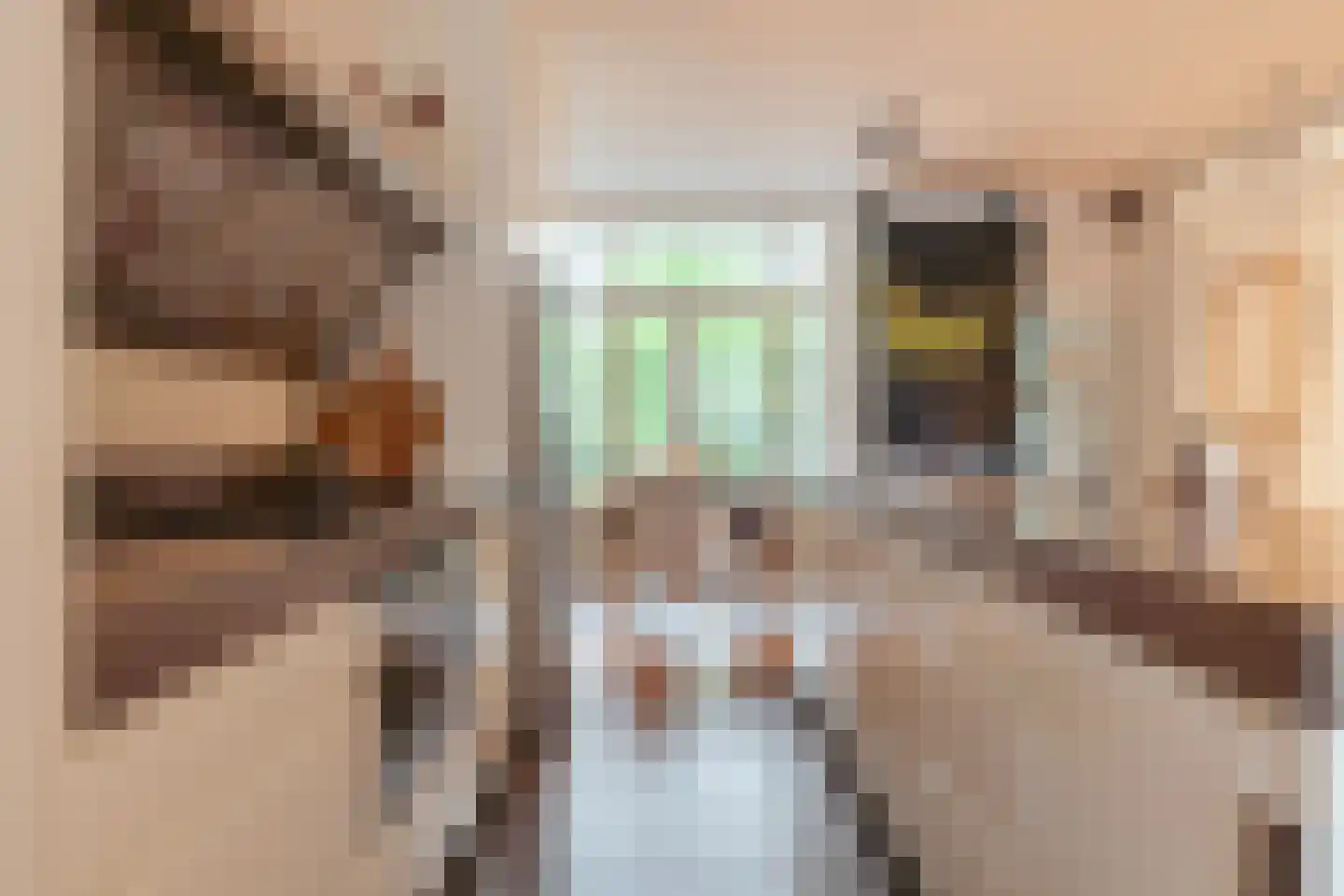 Van Breestraat 14 Amsterdam thumbnail 10