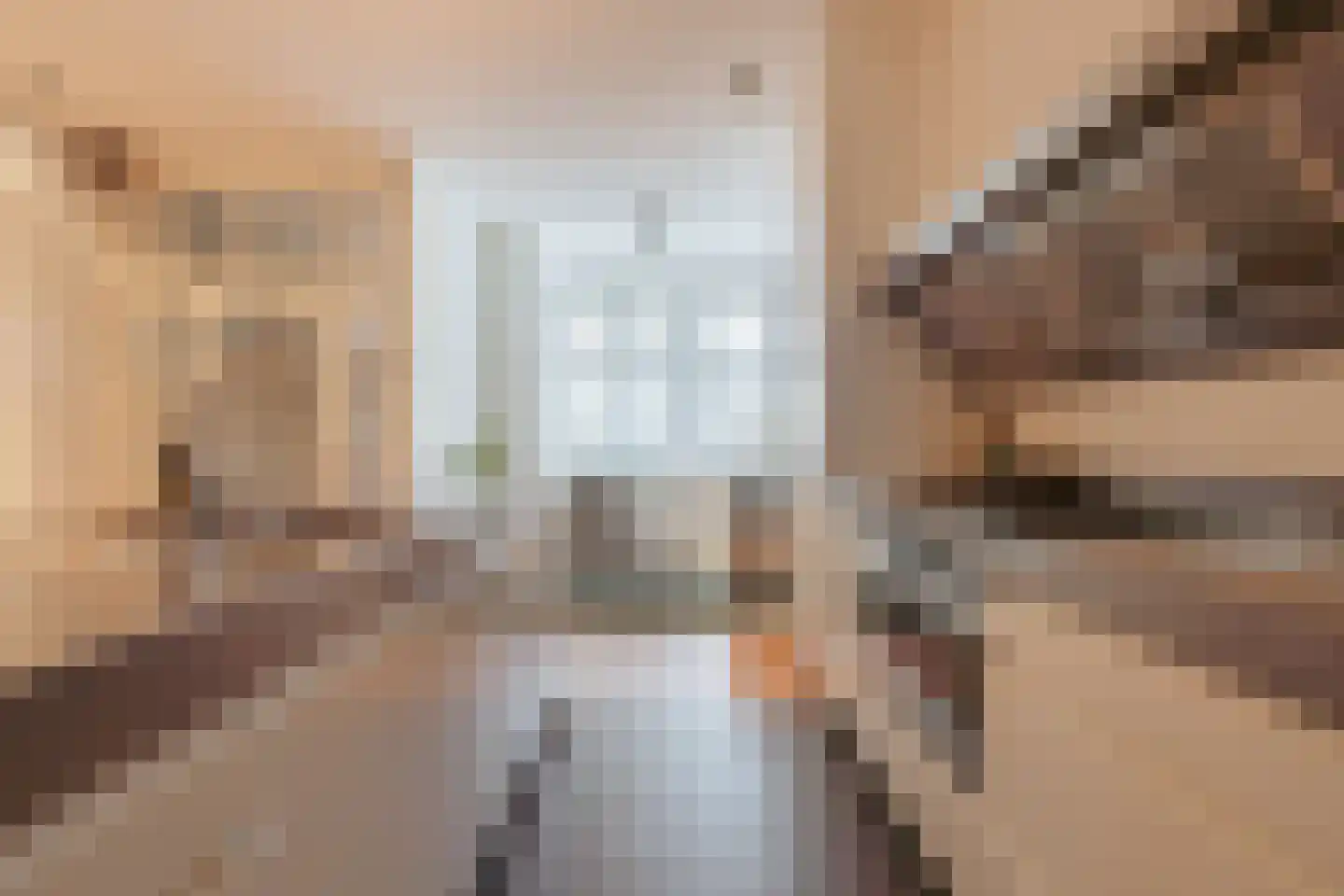 Van Breestraat 14 Amsterdam thumbnail 11