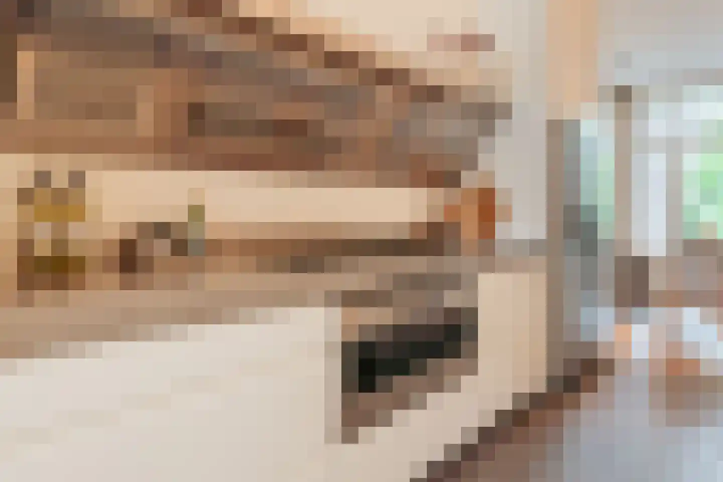 Van Breestraat 14 Amsterdam thumbnail 12