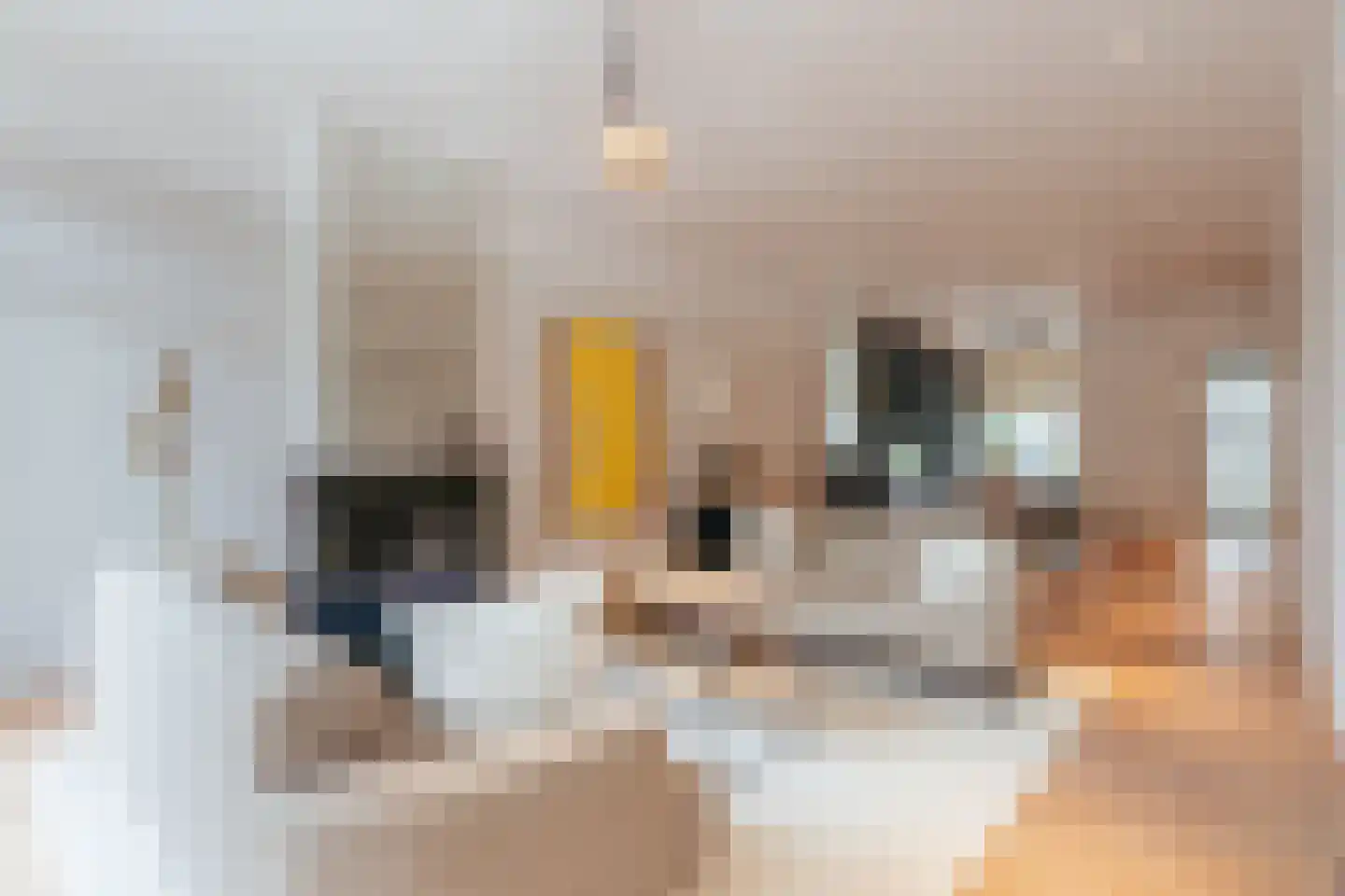 Van Breestraat 14 Amsterdam thumbnail 19