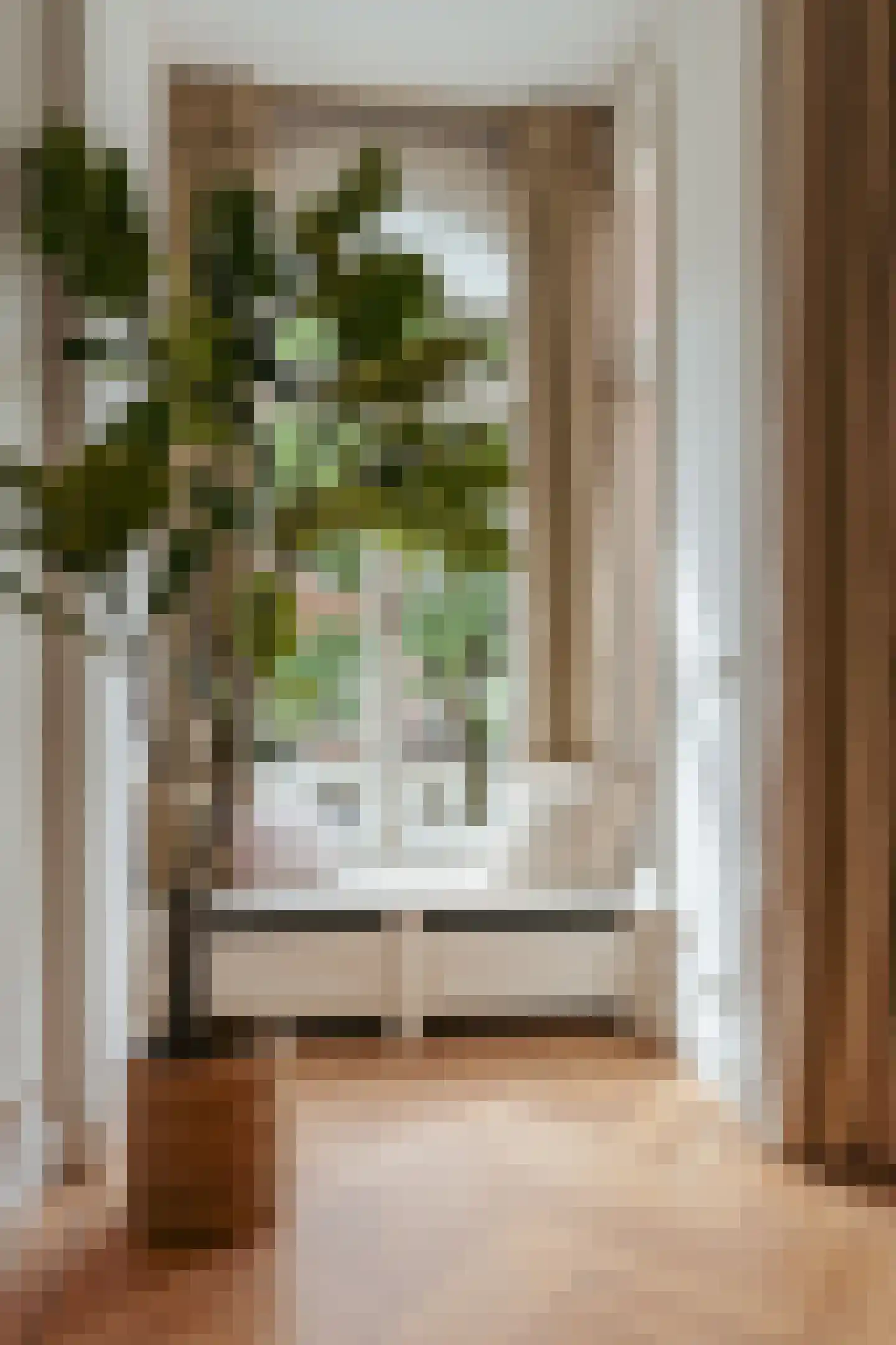 Van Breestraat 14 Amsterdam thumbnail 20