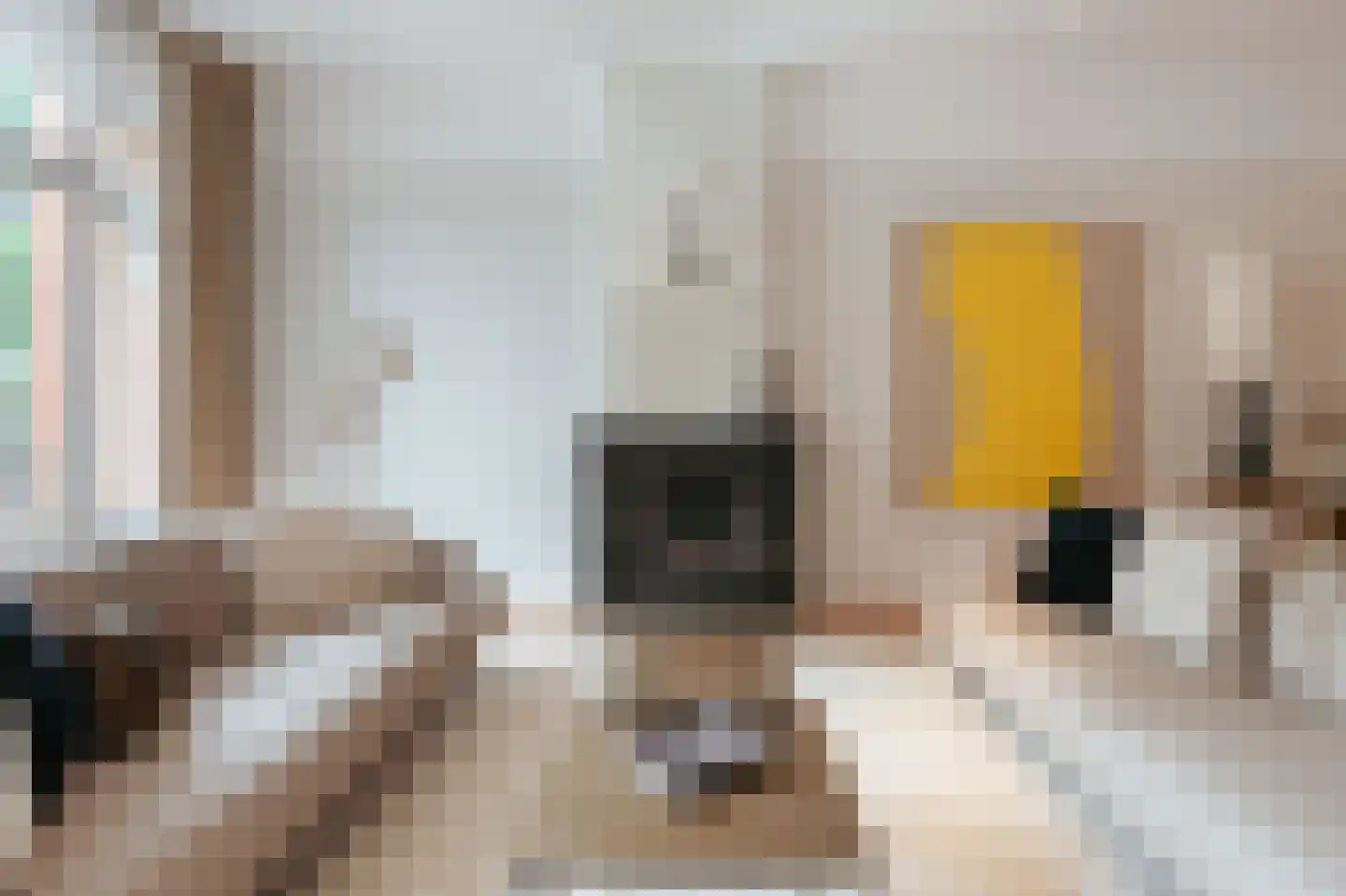 Van Breestraat 14 Amsterdam thumbnail 21