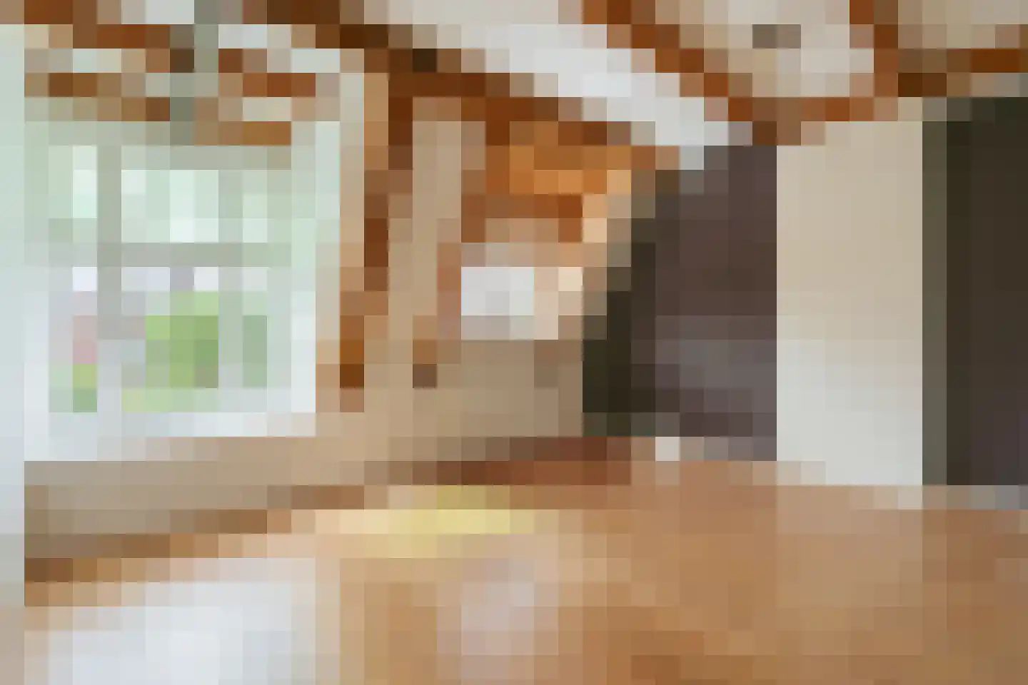 Van Breestraat 14 Amsterdam thumbnail 37