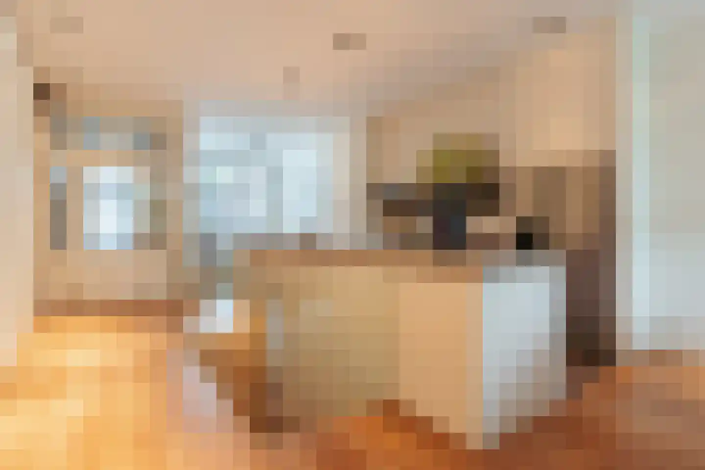 Van Breestraat 14 Amsterdam thumbnail 4