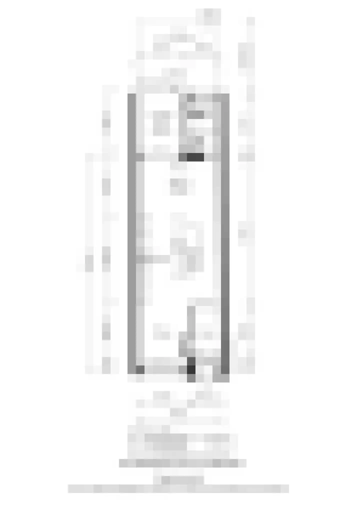 Van Breestraat 14 Amsterdam thumbnail 52