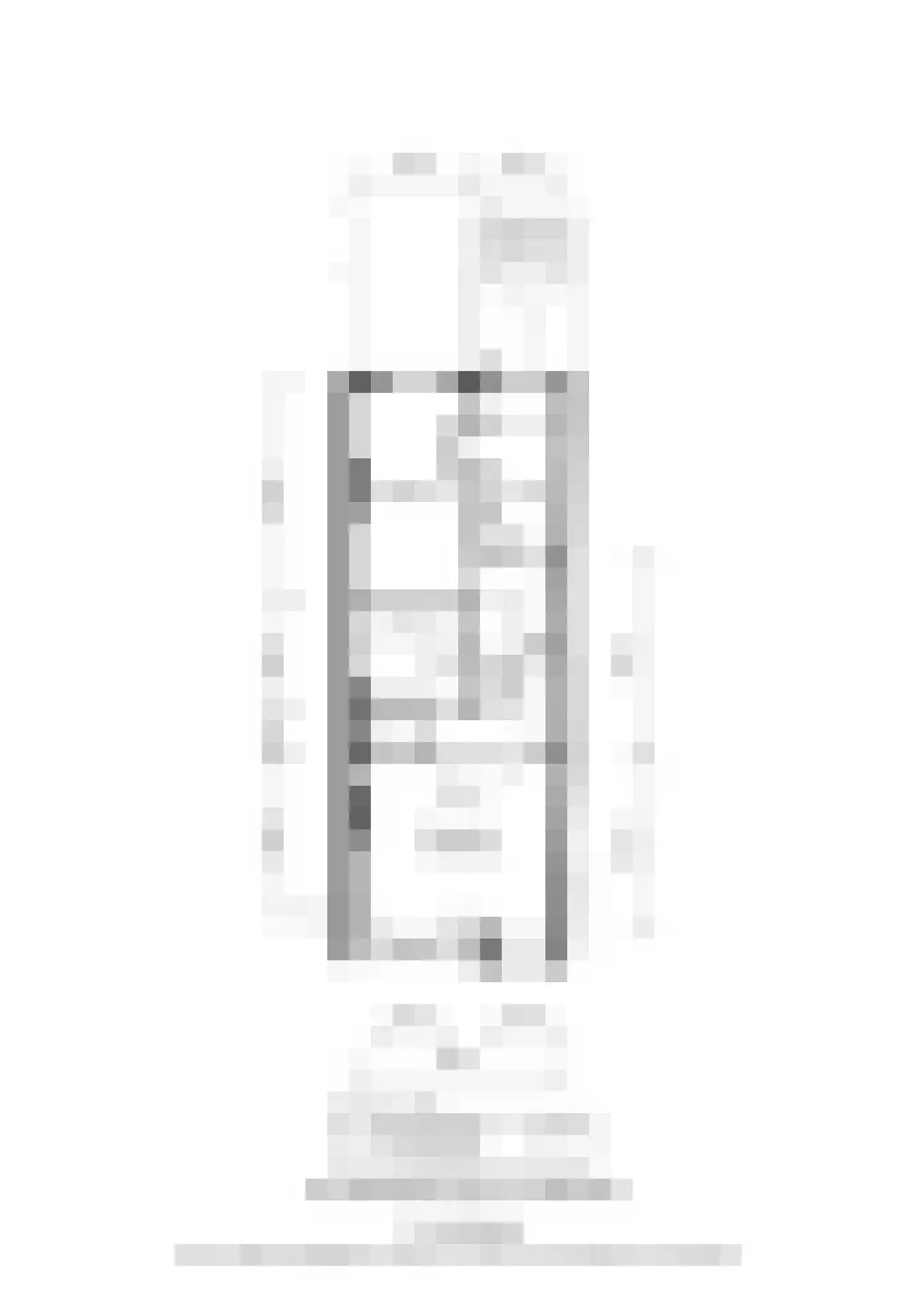 Van Breestraat 14 Amsterdam thumbnail 61