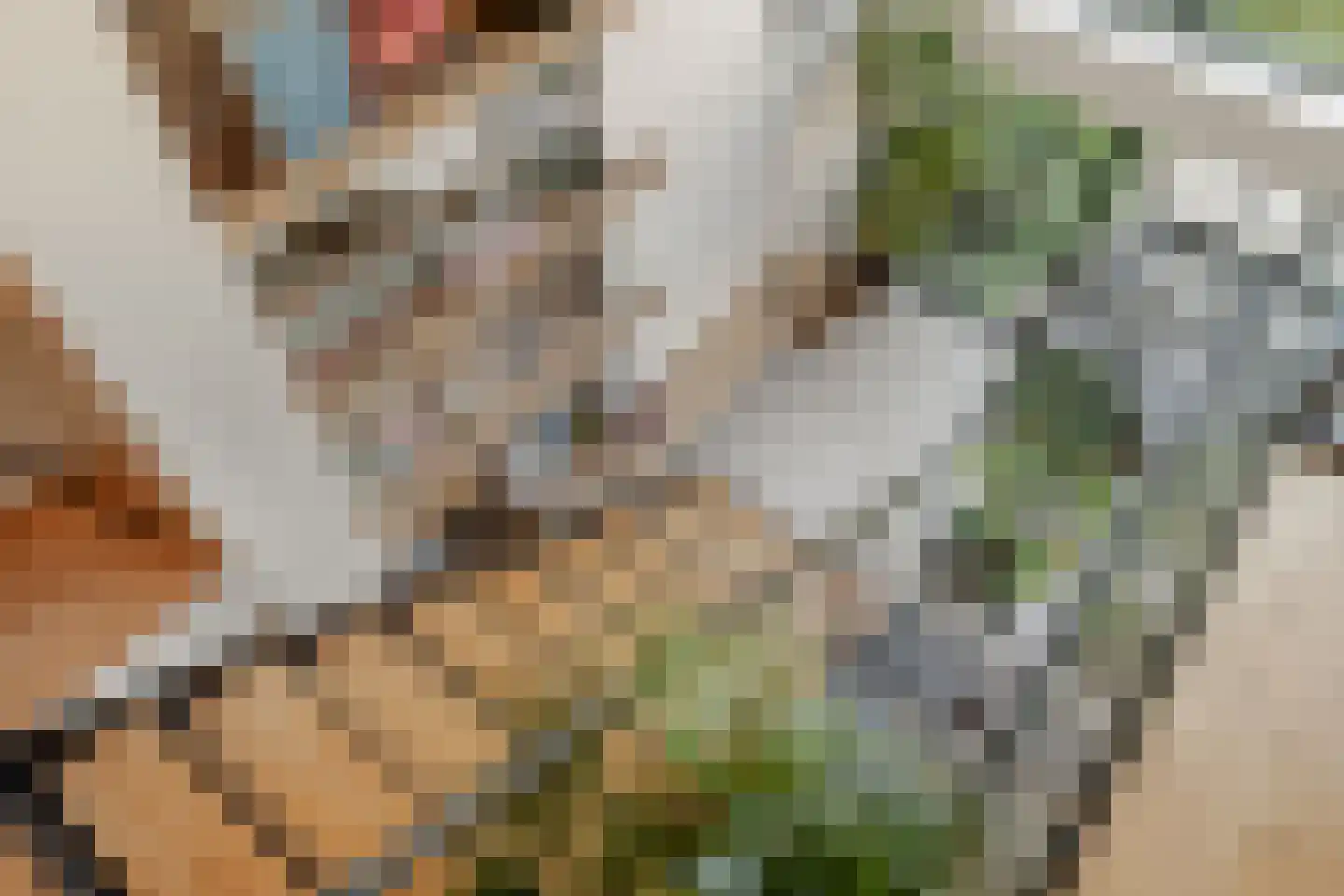Van Breestraat 142 2 Amsterdam thumbnail 11