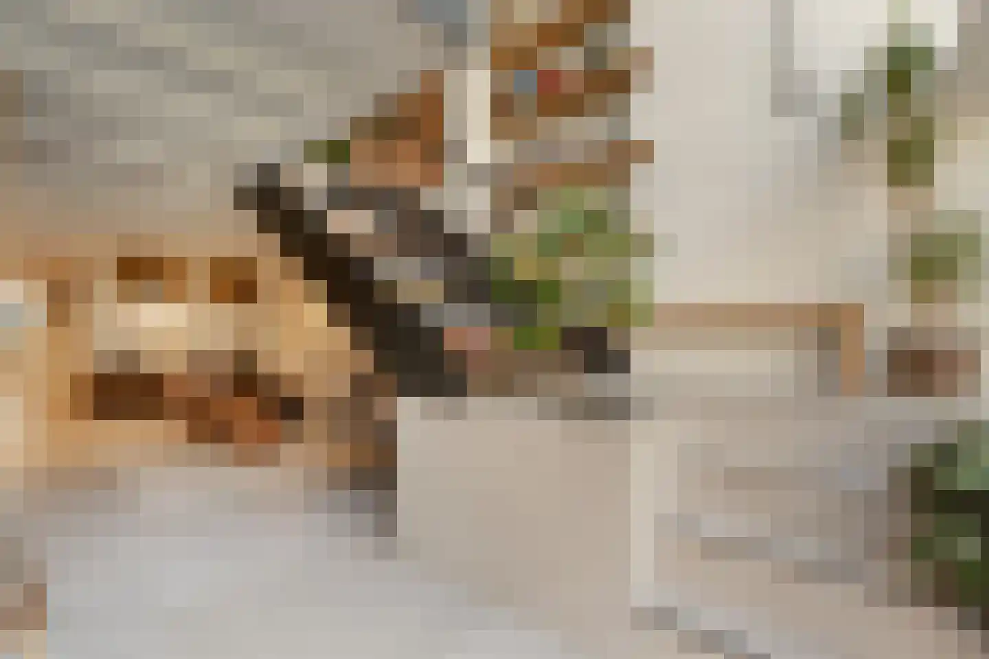 Van Breestraat 142 2 Amsterdam thumbnail 17