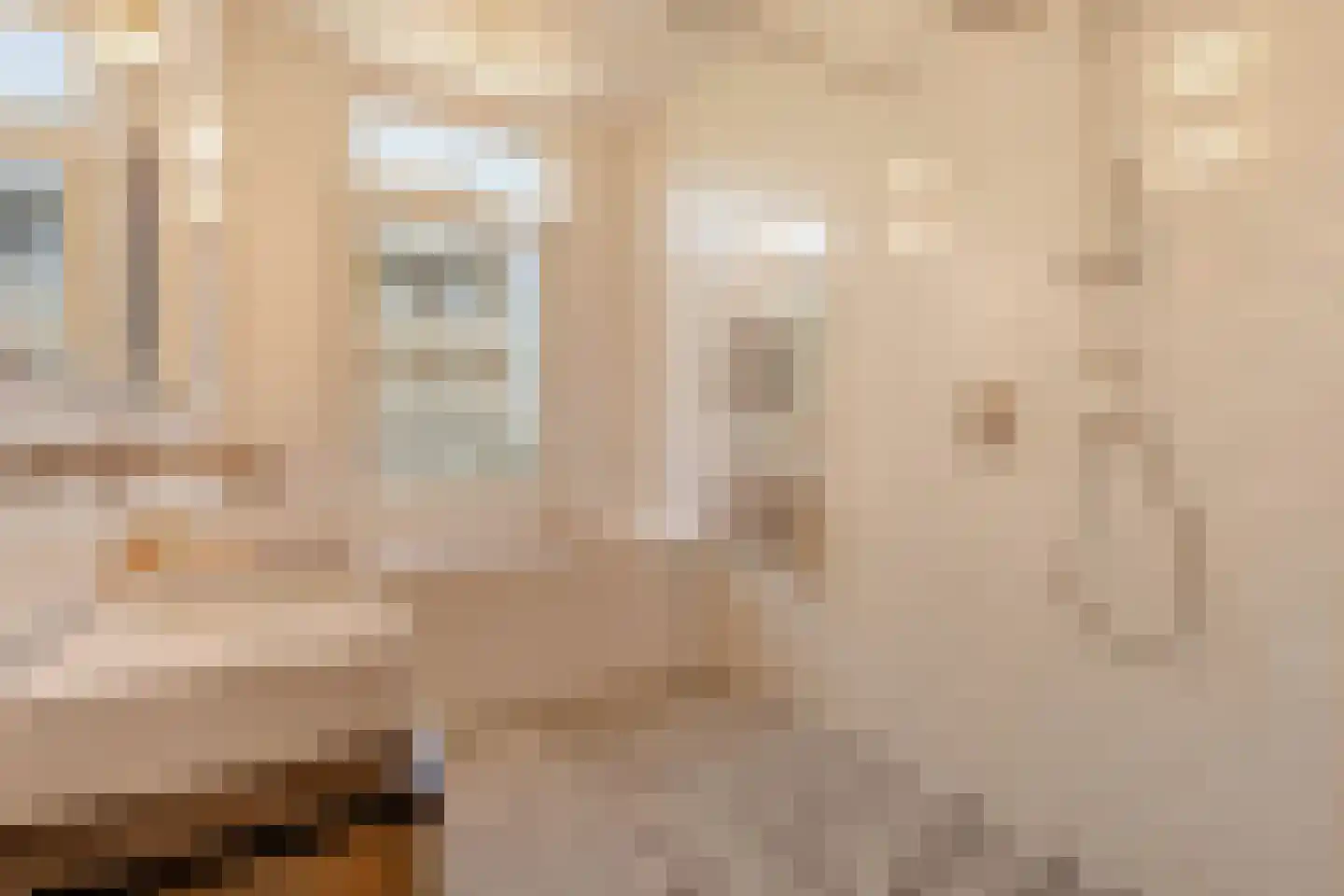 Van Breestraat 142 2 Amsterdam thumbnail 26