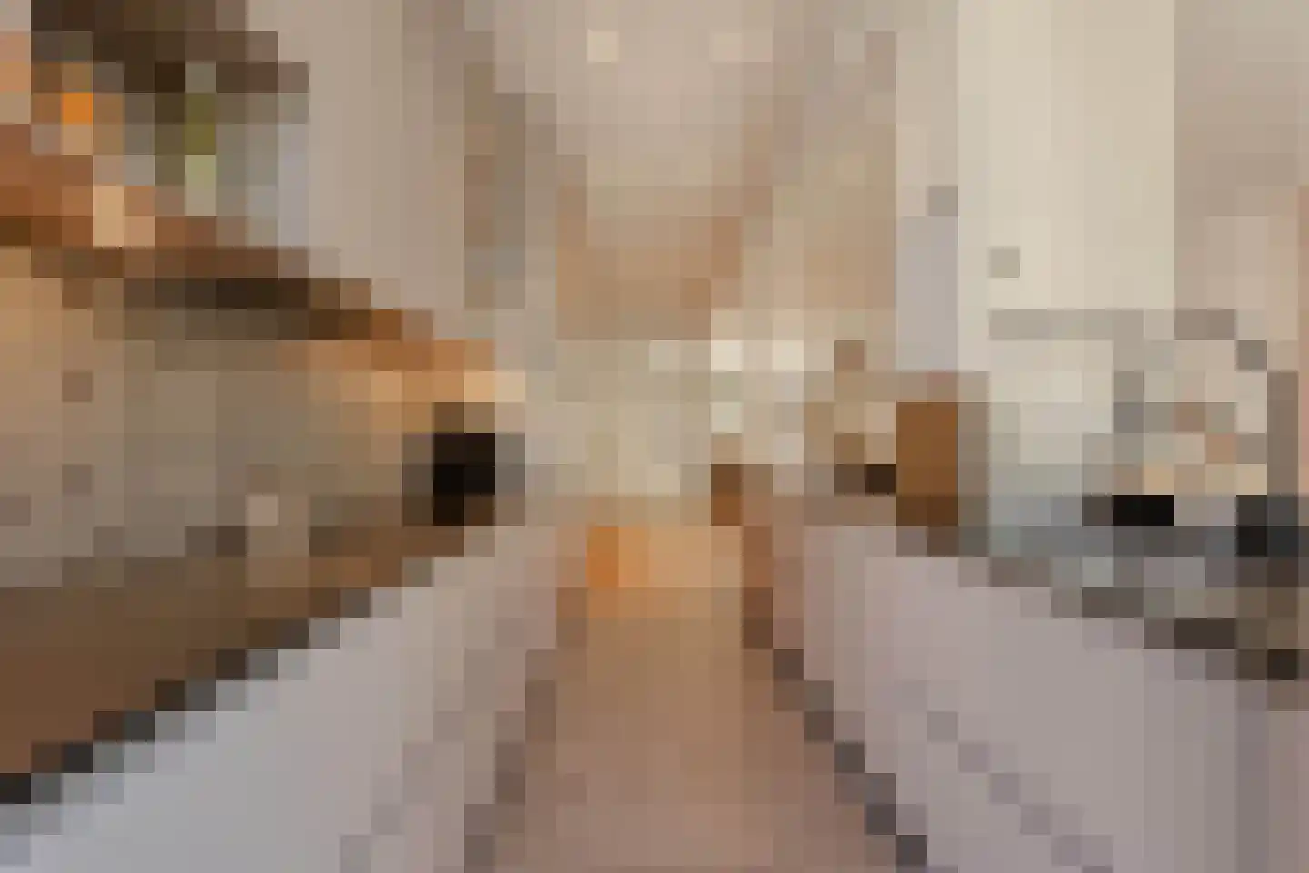 Van Breestraat 142 2 Amsterdam thumbnail 7