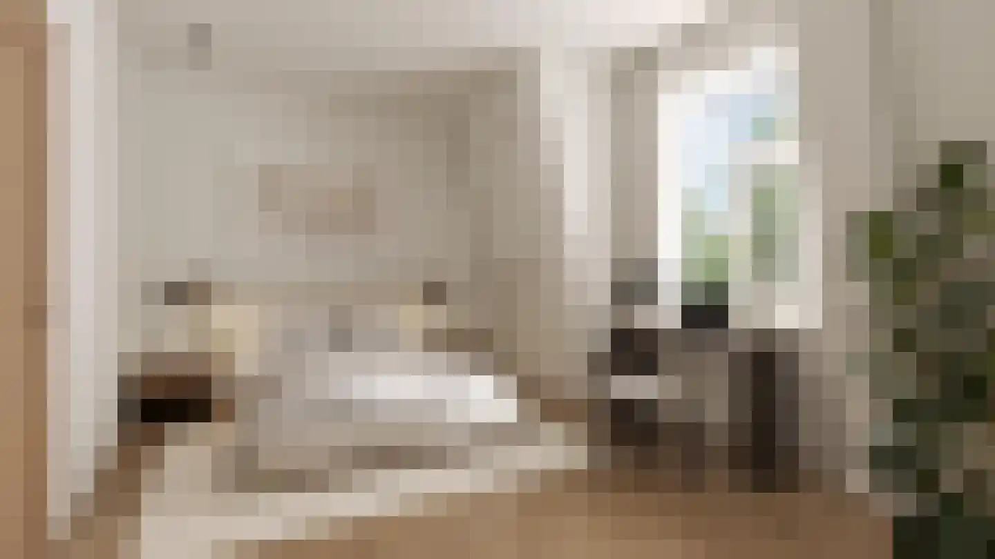 Van Breestraat 148 2 Amsterdam thumbnail 5