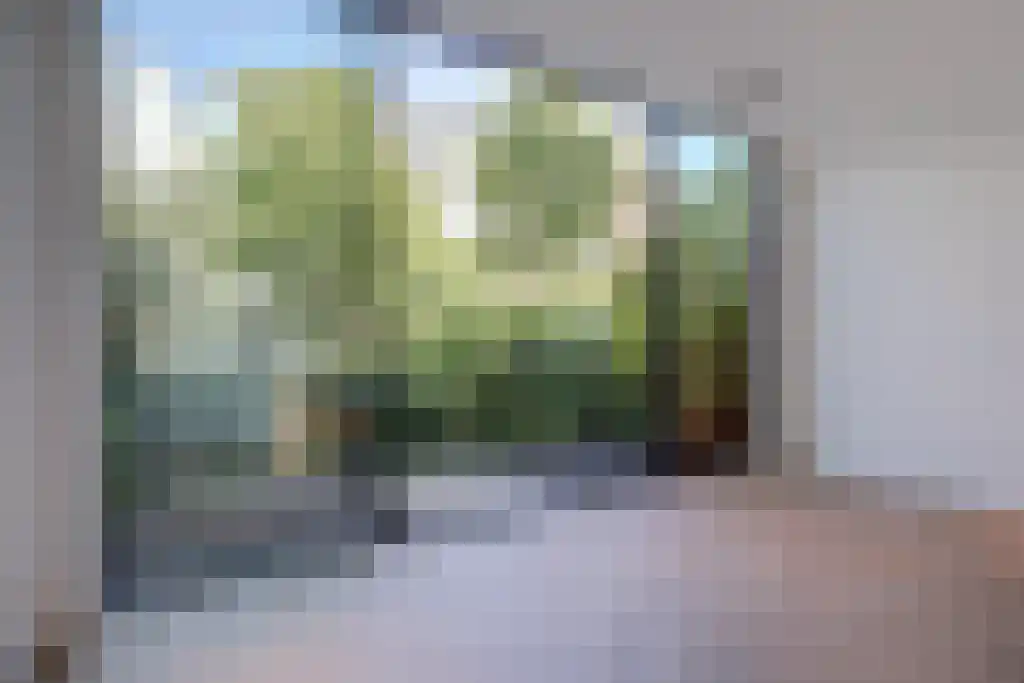 Van Breestraat 148 H Amsterdam thumbnail 14