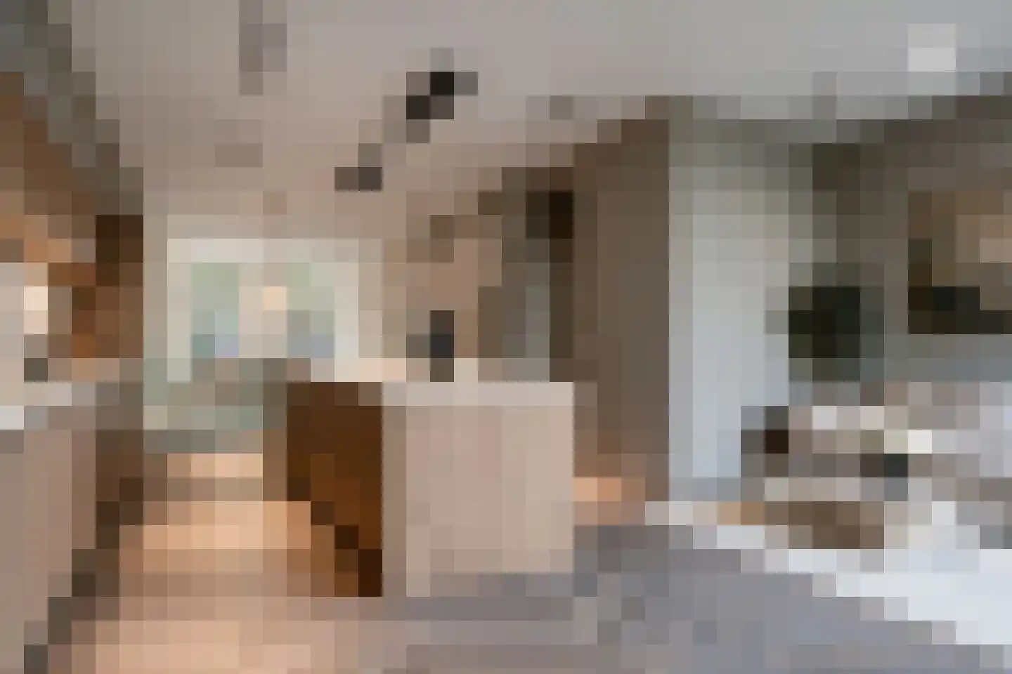 Van Breestraat 148 H Amsterdam thumbnail 4