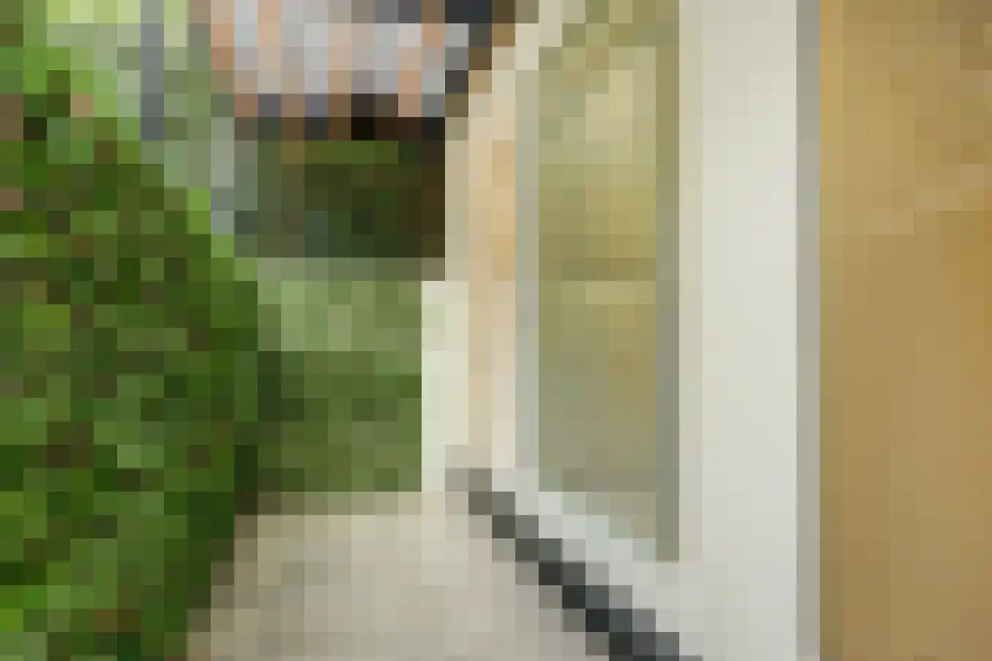 Van Breestraat 148 H Amsterdam thumbnail 40