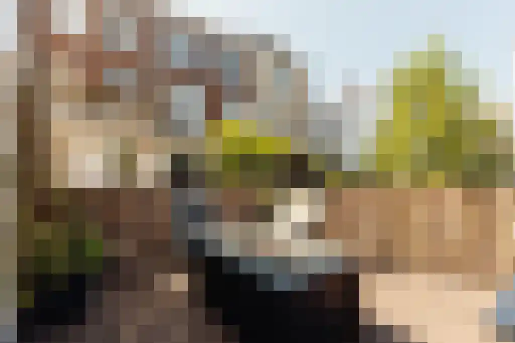Van Breestraat 150 2 Amsterdam thumbnail 28
