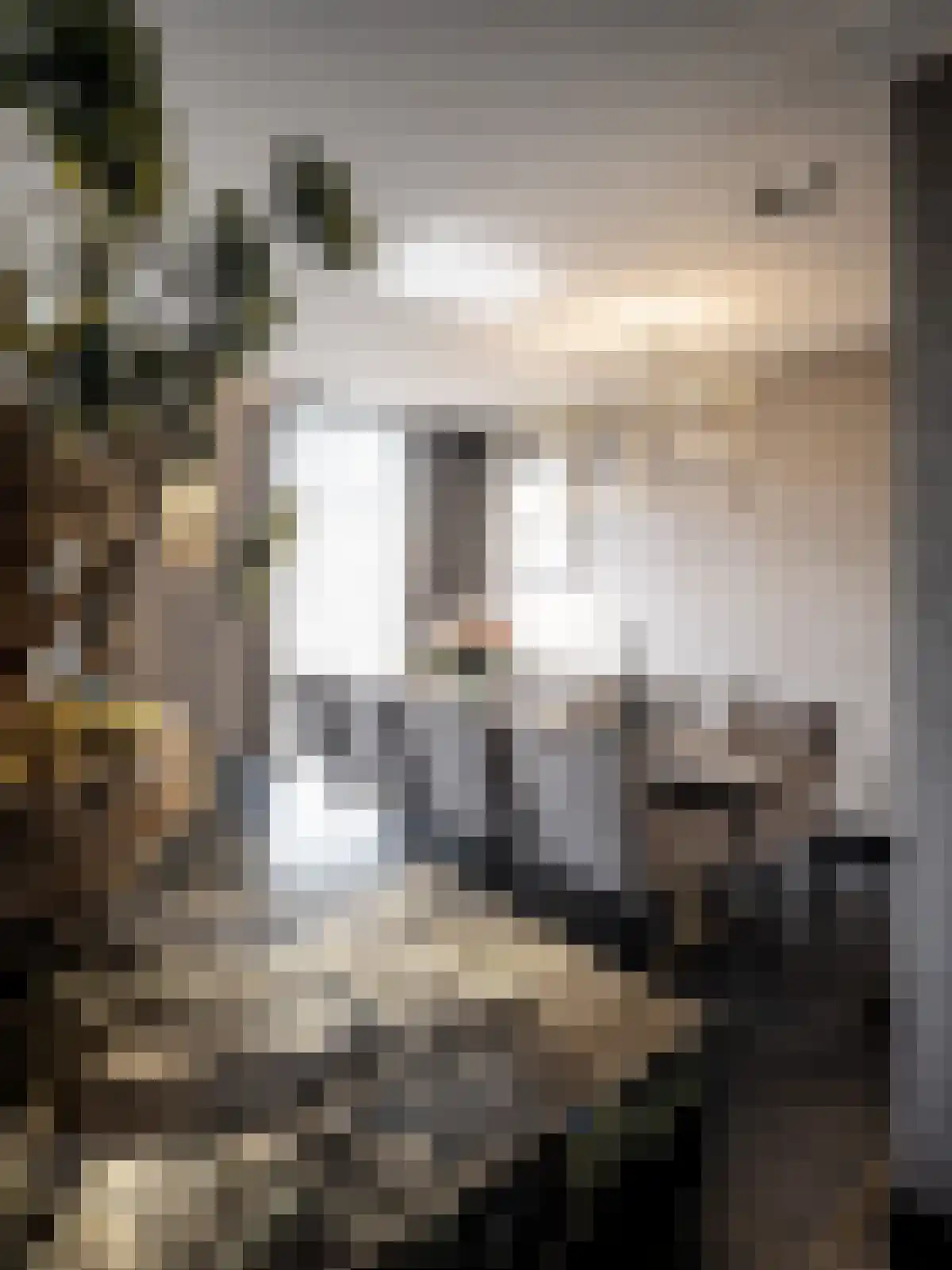 Van Breestraat 153 3 Amsterdam thumbnail 12