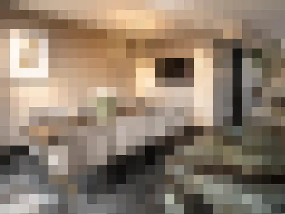Van Breestraat 153 3 Amsterdam thumbnail 13