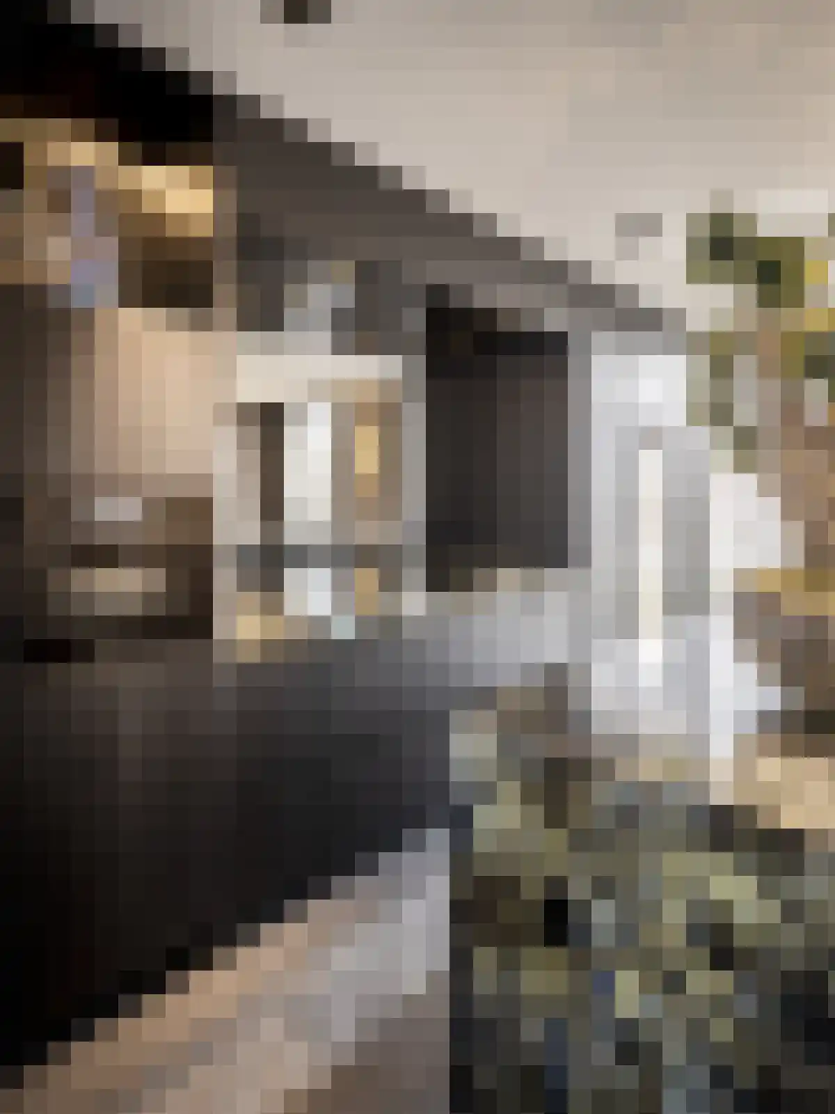 Van Breestraat 153 3 Amsterdam thumbnail 13
