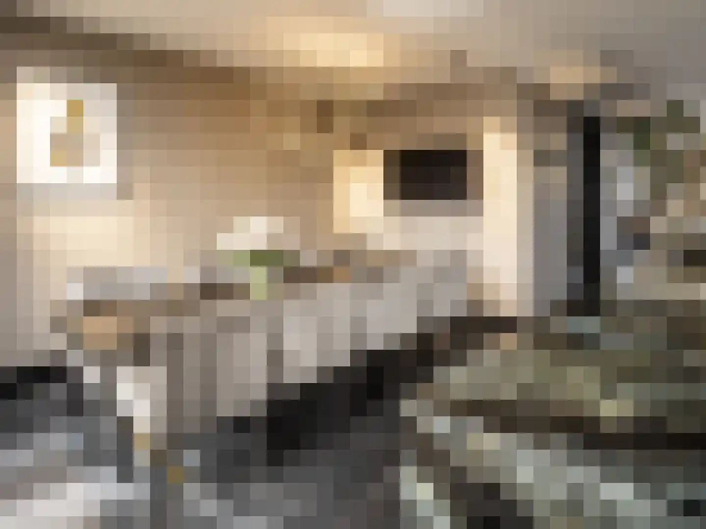 Van Breestraat 153 3 Amsterdam thumbnail 14