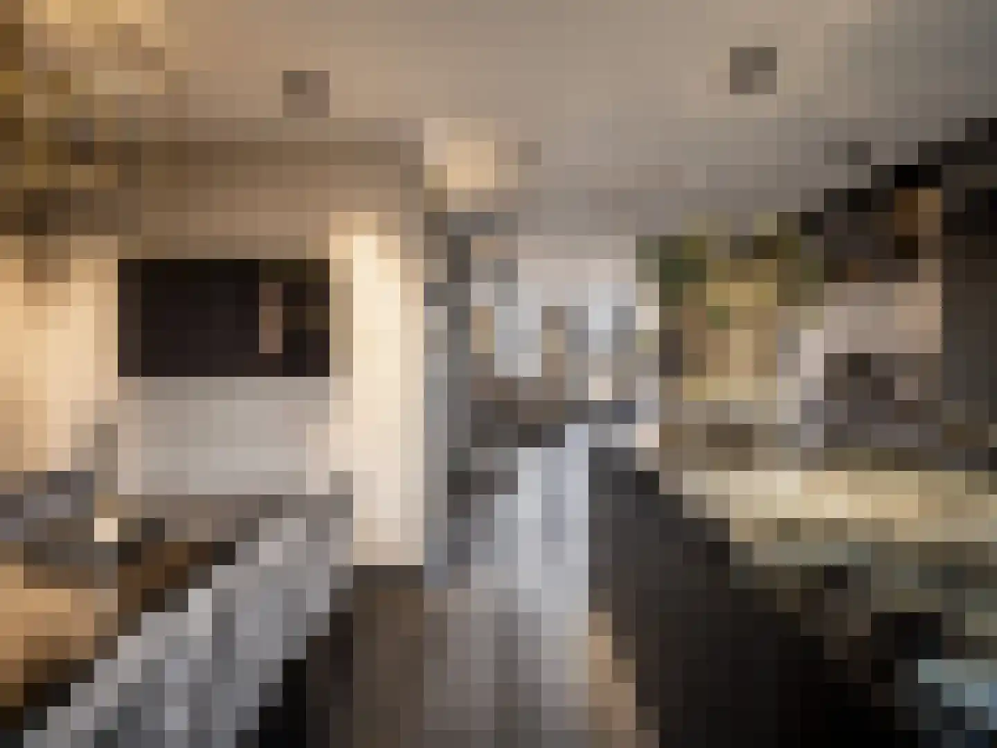 Van Breestraat 153 3 Amsterdam thumbnail 15