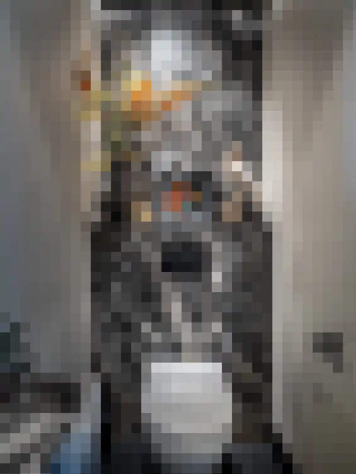 Van Breestraat 153 3 Amsterdam thumbnail 25