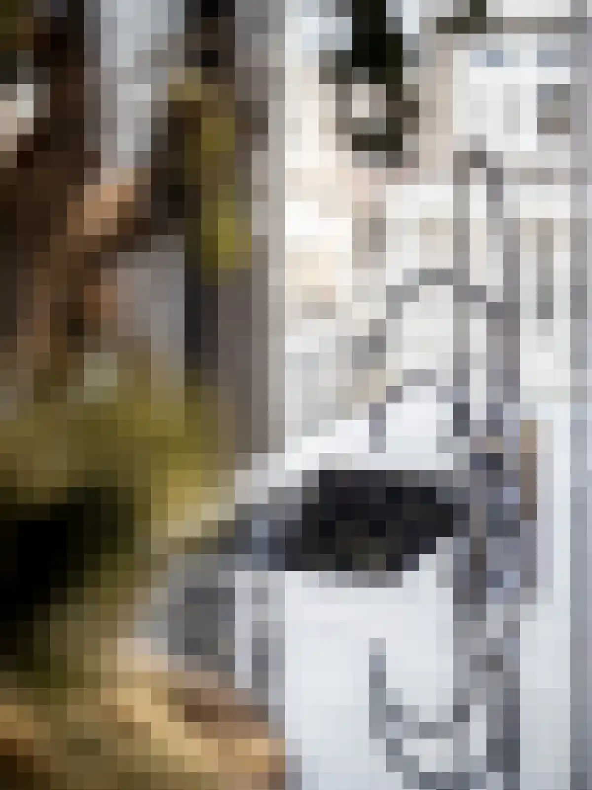 Van Breestraat 153 3 Amsterdam thumbnail 27