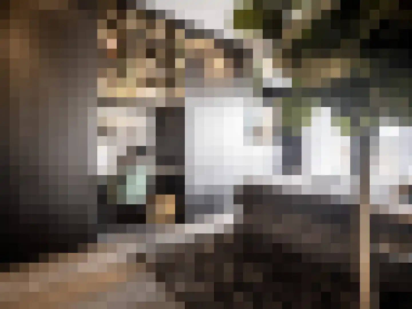 Van Breestraat 153 3 Amsterdam thumbnail 32