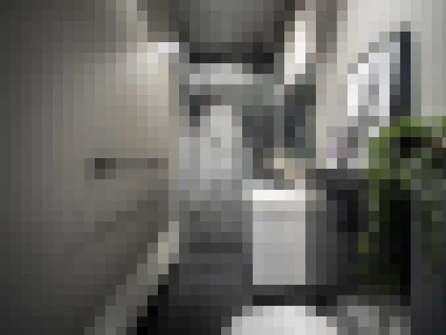 Van Breestraat 153 3 Amsterdam thumbnail 34