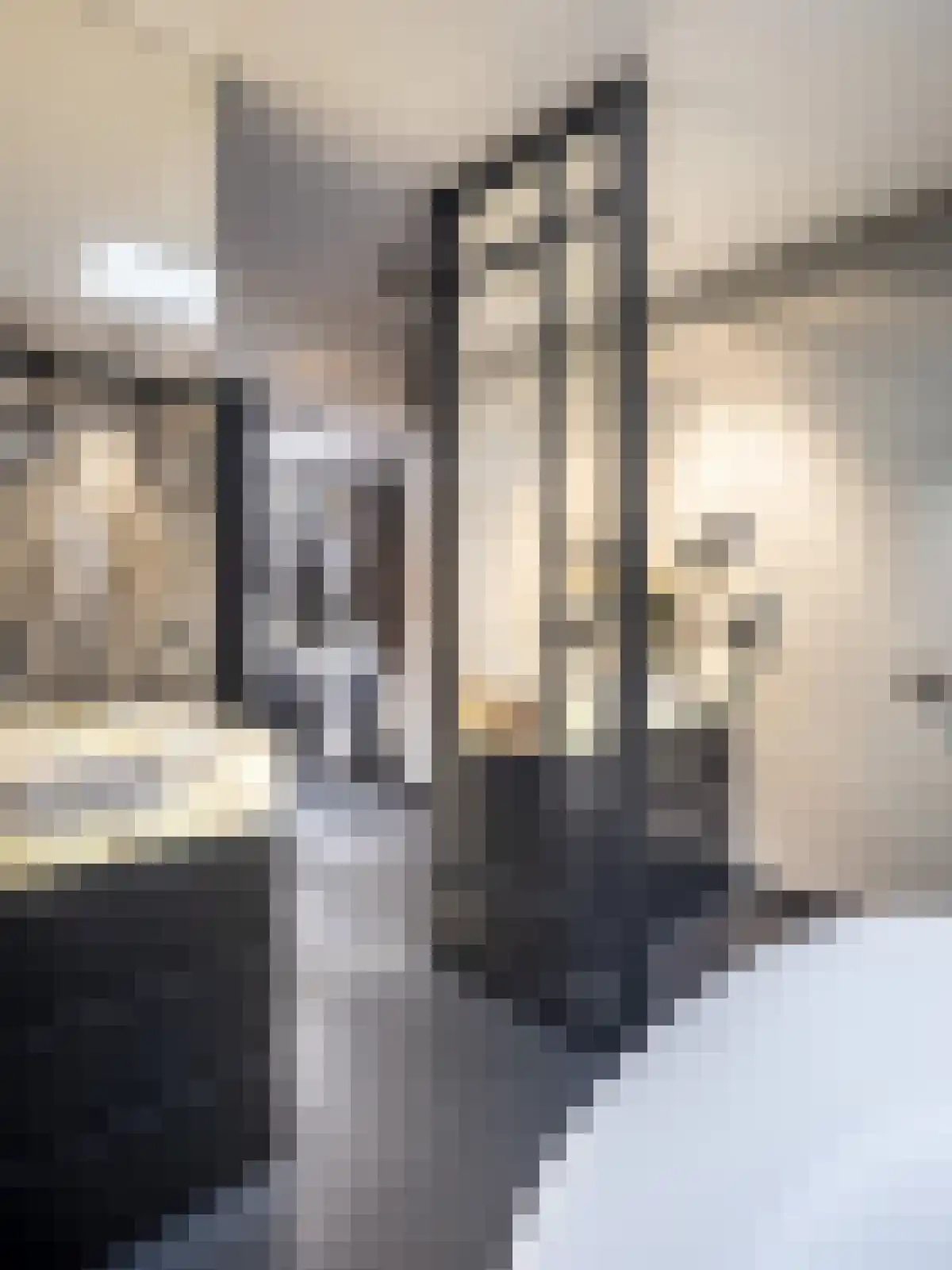 Van Breestraat 153 3 Amsterdam thumbnail 41