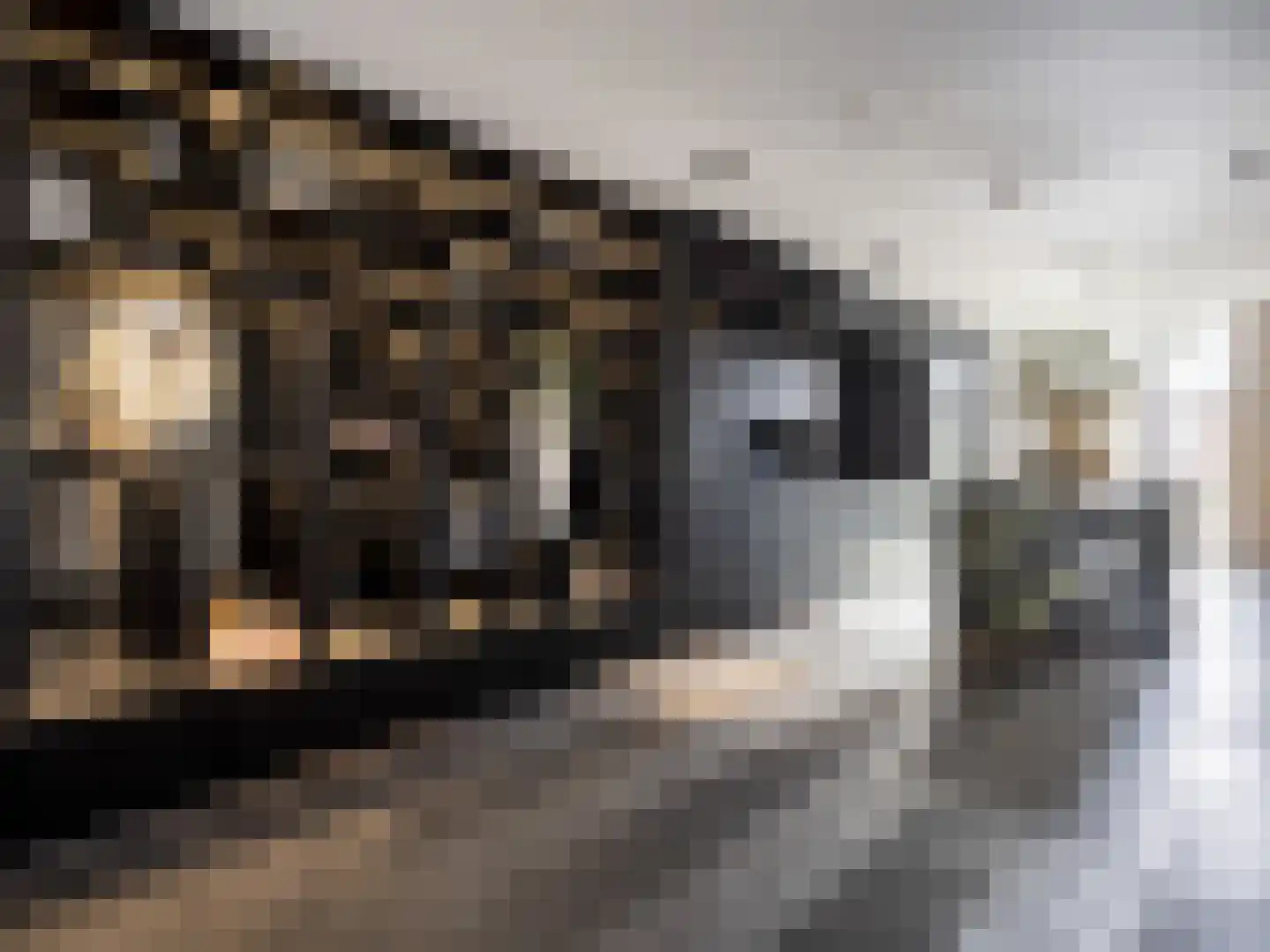 Van Breestraat 153 3 Amsterdam thumbnail 5