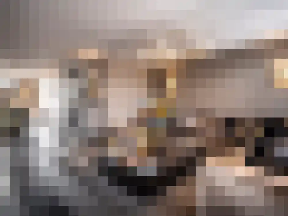 Van Breestraat 153 3 Amsterdam thumbnail 7