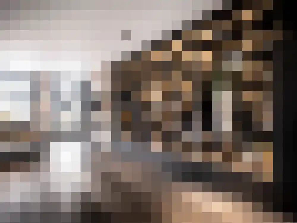 Van Breestraat 153 3 Amsterdam thumbnail 9