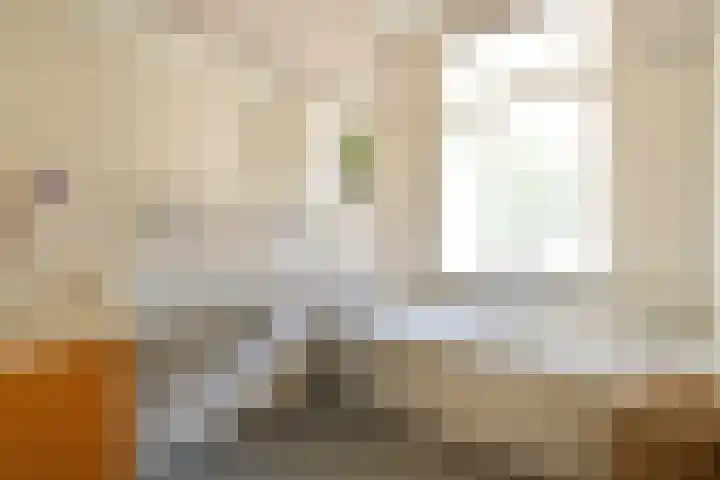 Van Breestraat 171 2 Amsterdam thumbnail 25